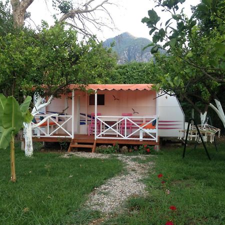 Bellerofon Caravan & Camping Çıralı Exterior foto